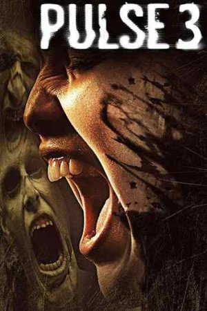Download Pulse 3 (2008) Dual Audio {Hindi-English} BluRay 480p [350MB] | 720p [950MB] | 1080p [2GB]