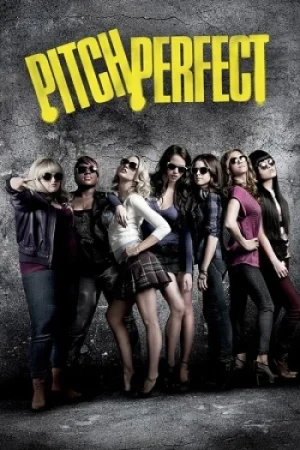 Download Pitch Perfect (2012) Blu-Ray Dual Audio {Hindi-English} 480p [350MB] | 720p [1.2GB] | 1080p [3GB]